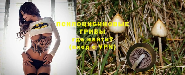 индика Навашино