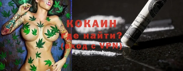 индика Навашино